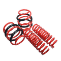 AST x Moton Lowering Springs