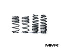 MMX Lowering Springs