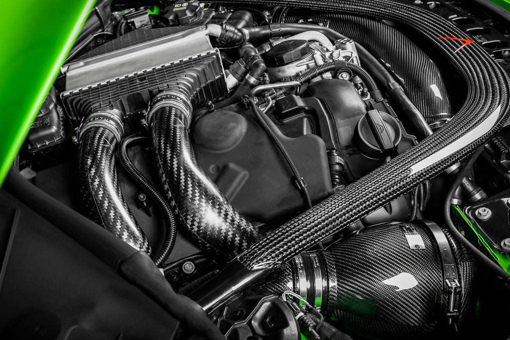Eventuri S55 Carbon Chargepipes - M2/M3/M4 F8X